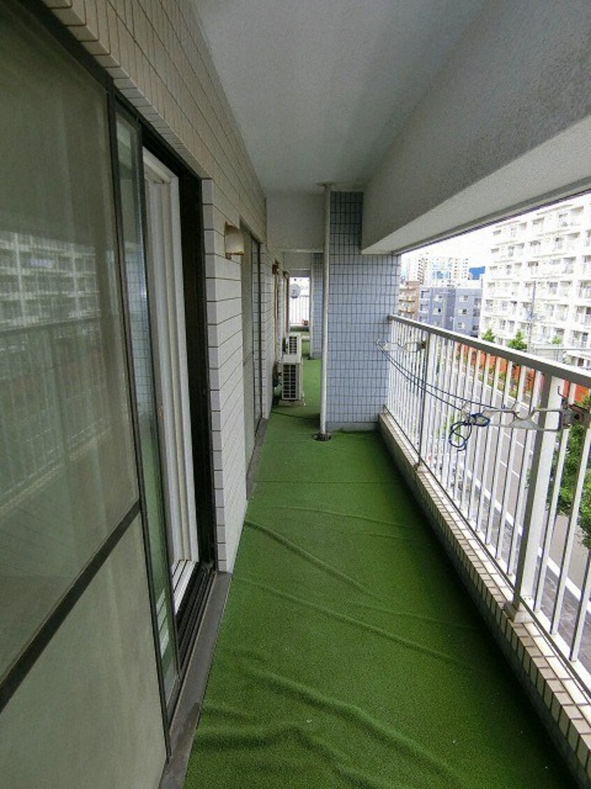  ラベンダー白石