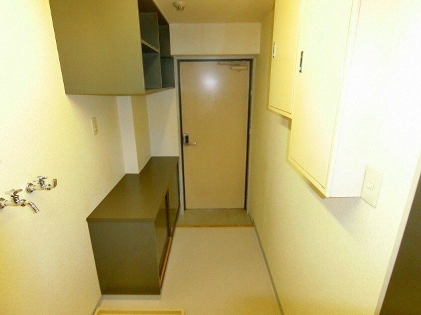  ラベンダー白石