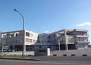 石狩市立樽川中学校(中学校/中等教育学校)まで743m メゾン静和