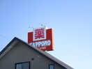 ｻﾂﾄﾞﾗ当別店(ドラッグストア)まで1106m 当別町西町　戸建