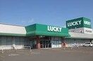 LUCKY（ﾗｯｷｰ） 北49条店(スーパー)まで368m sun hills50