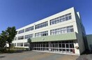 札幌市立栄緑小学校(小学校)まで906m sun hills50