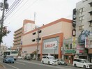 東光ｽﾄｱ 麻生店(スーパー)まで515m 札幌市営地下鉄南北線/麻生駅 徒歩5分 3階 1年未満