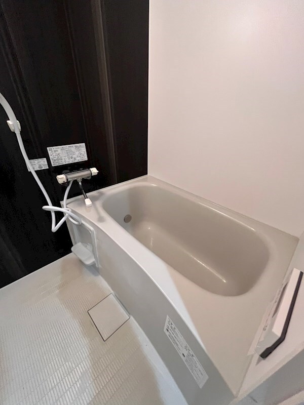  lapis（ラピス）