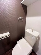  lapis（ラピス）