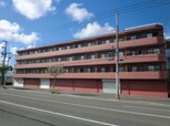 KINSEI