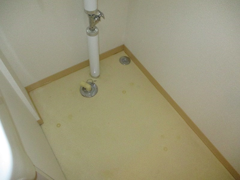  パープルハウス22