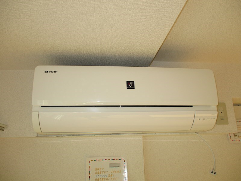  セントポーリアフラン