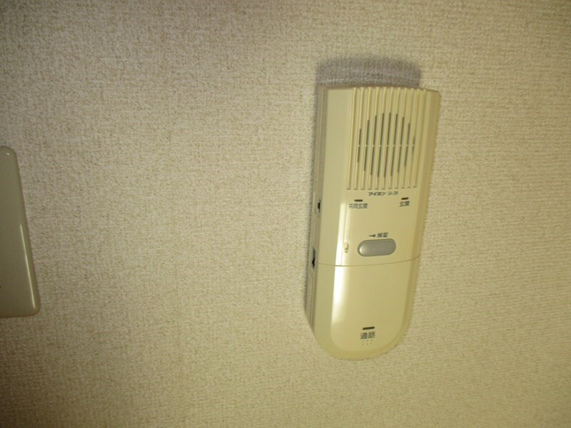  セントポーリアフラン