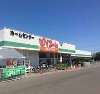 ﾋﾞﾊﾞﾎｰﾑ 新琴似店(電気量販店/ホームセンター)まで801m ソーレピエトラ