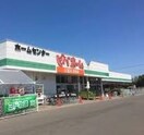 ﾋﾞﾊﾞﾎｰﾑ 新琴似店(電気量販店/ホームセンター)まで801m ソーレピエトラ