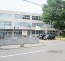 札幌市立新川中央小学校(小学校)まで1108m ソーレピエトラ