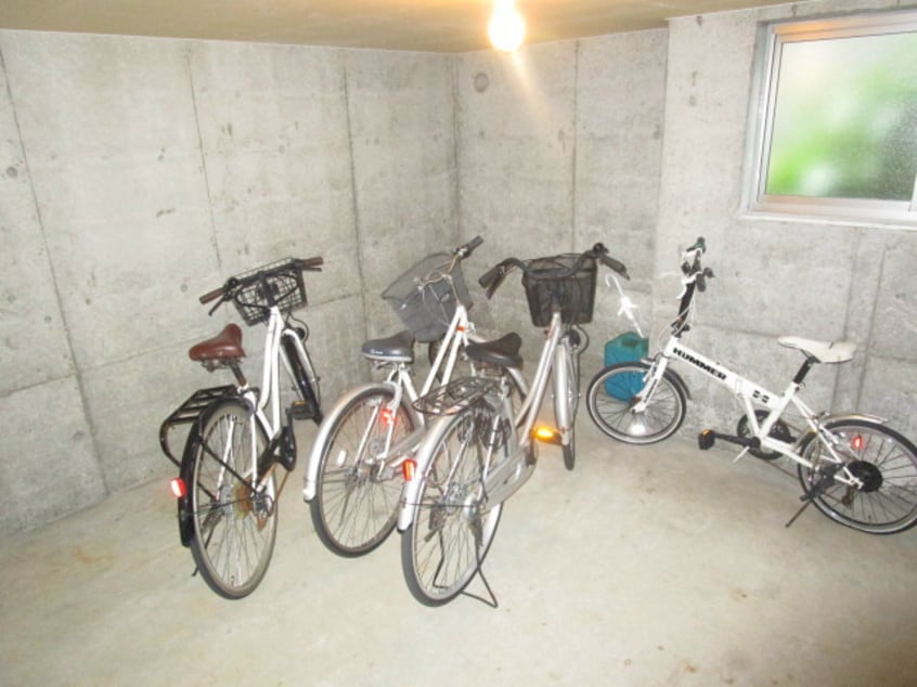  パラサントノール