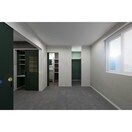 完成予想図 ネコフィーノルナ