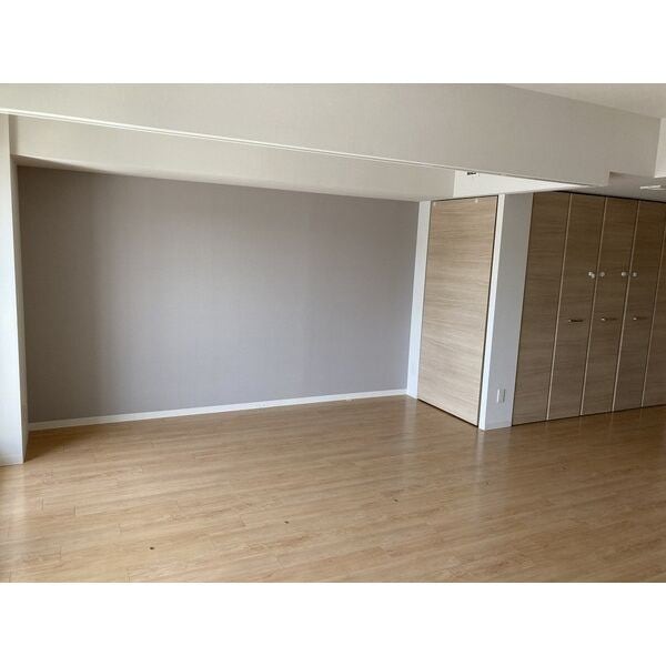  クリーンリバーフィネス札幌ミッドステージ　サウス