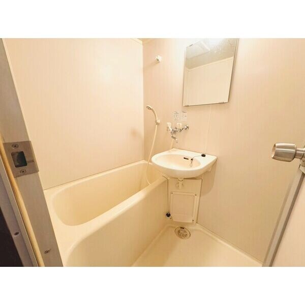  マロンハイデンス