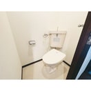  マロンハイデンス