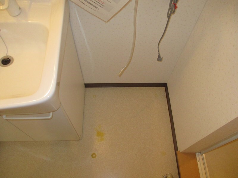  プルメリアＮ20