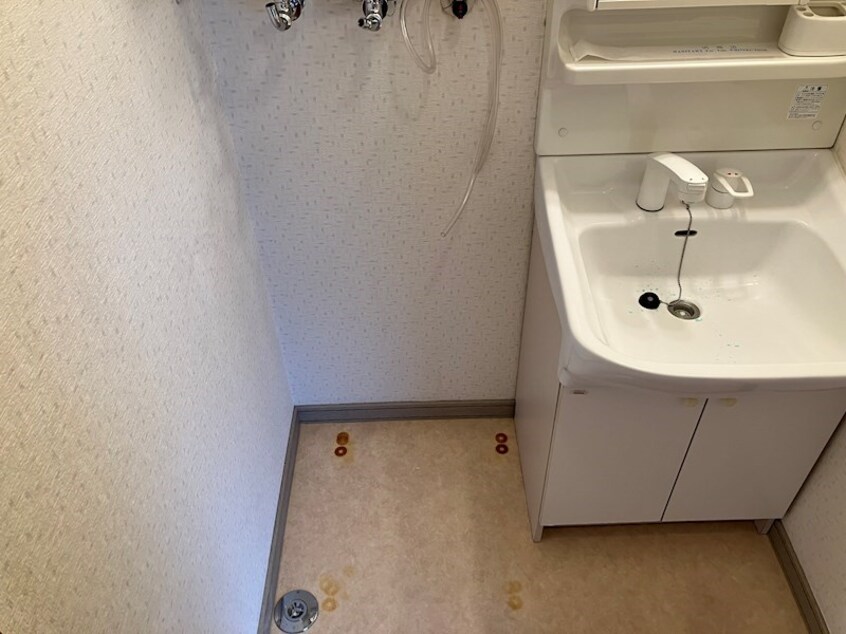  リトルスティングA