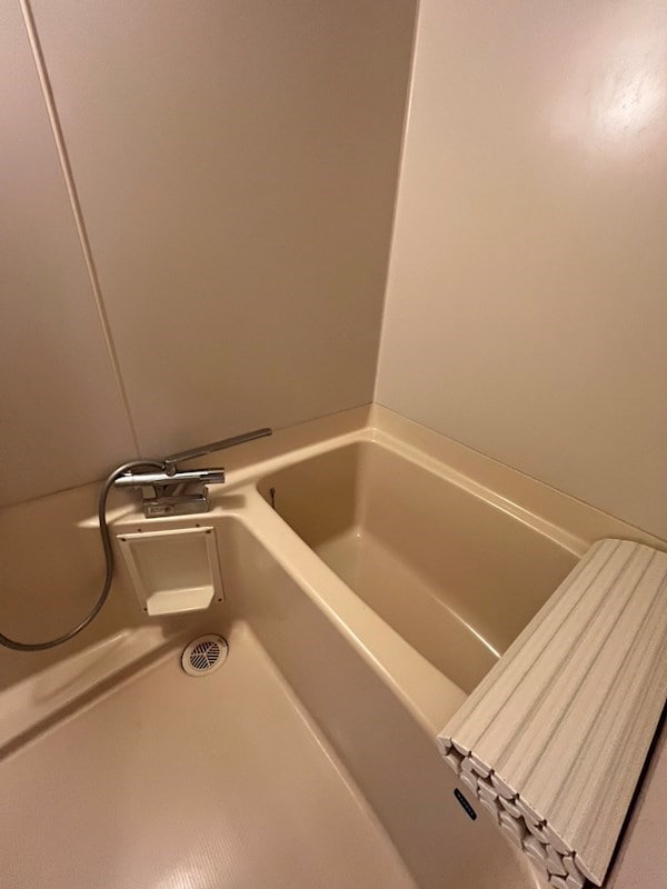  ロジェピュイソン