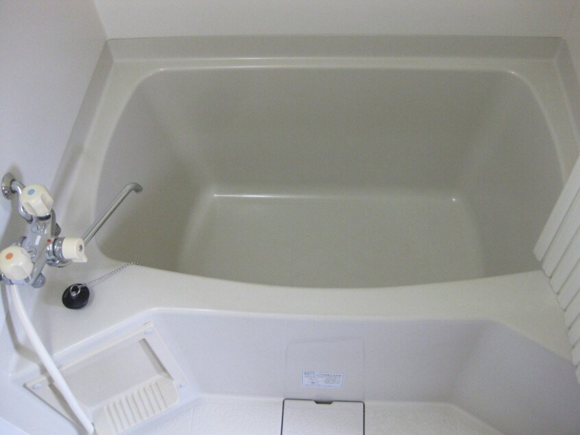  セレシュ４・１