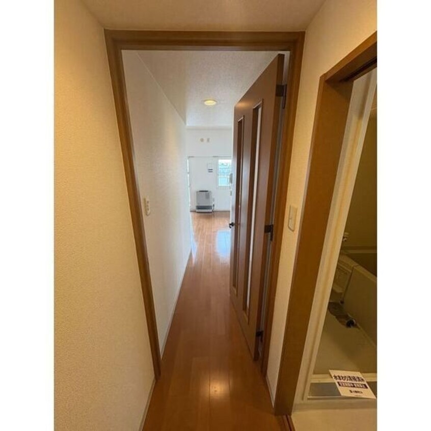  ライブグレース