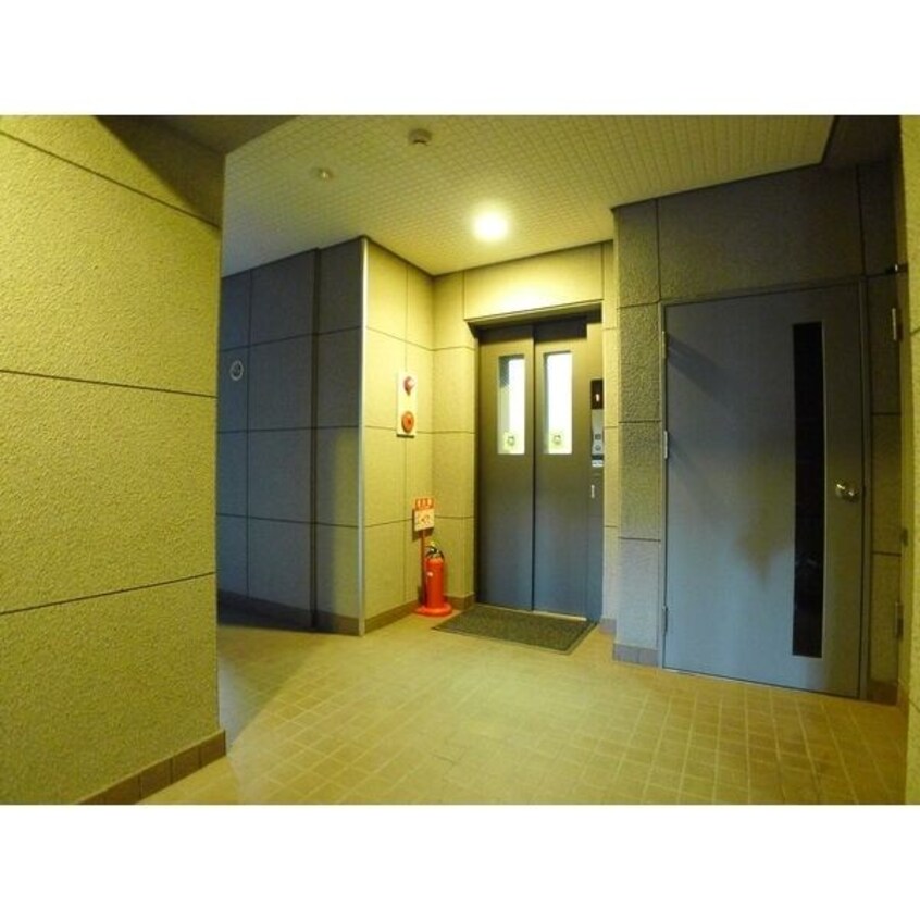  ライブグレース