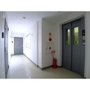  ライブグレース