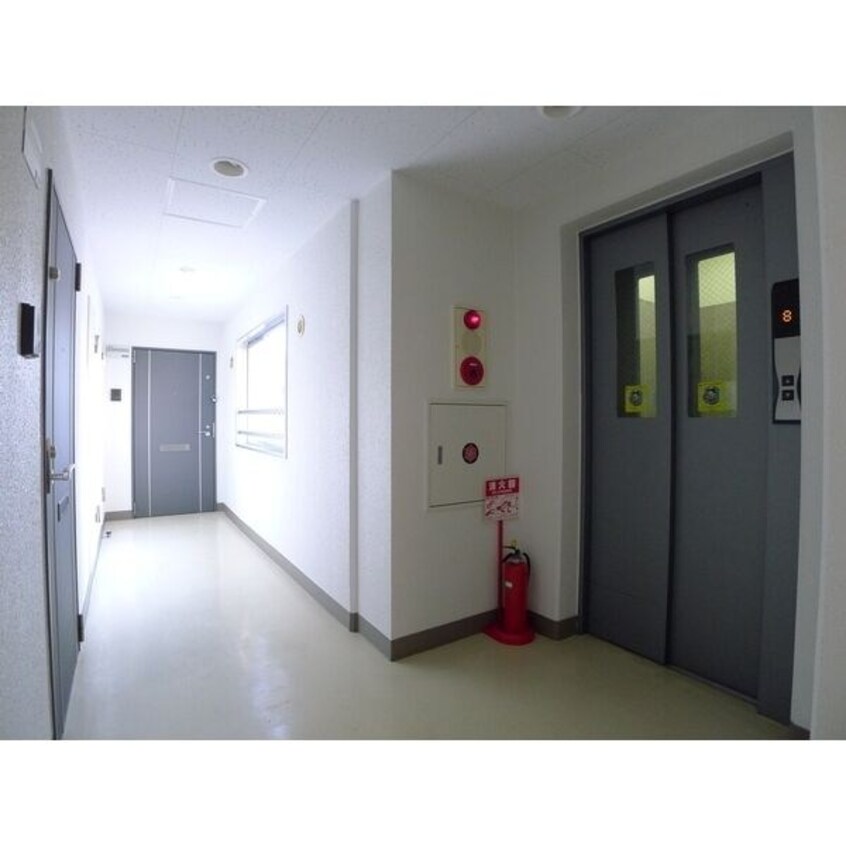  ライブグレース