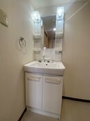  アニマリートN17