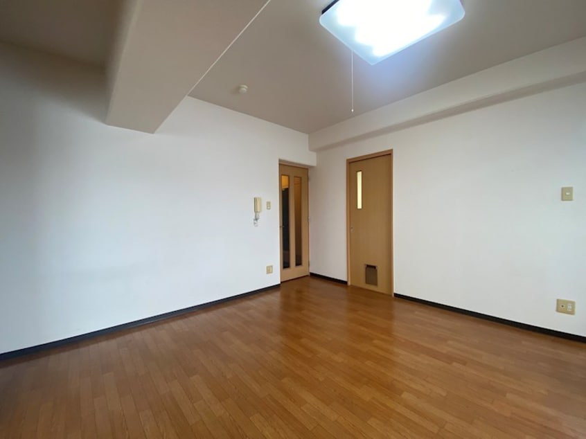  アニマリートN17