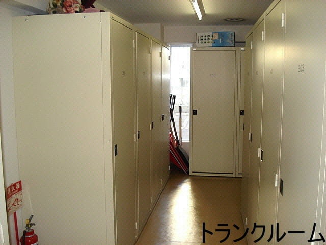  アニマリートN17