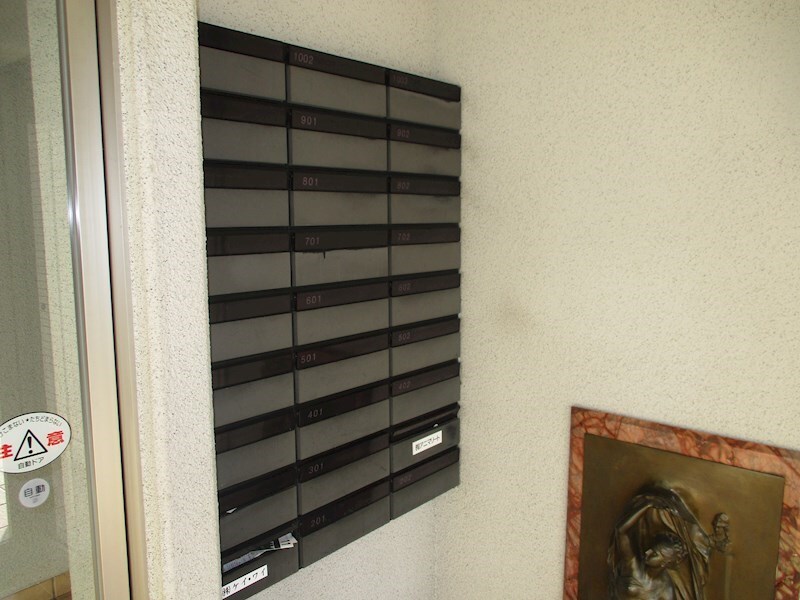  アニマリートN17