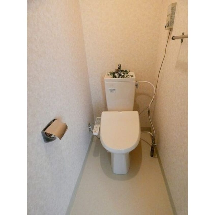  メゾンＭ東苗穂