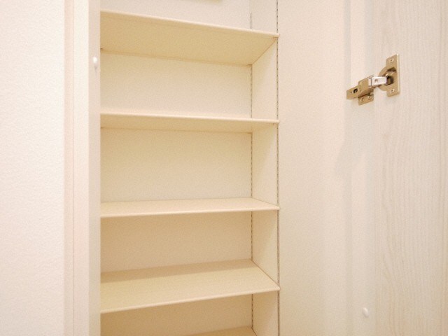  WATERLIFE-CITY.STELLA