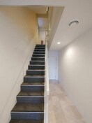  WATERLIFE-CITY.STELLA