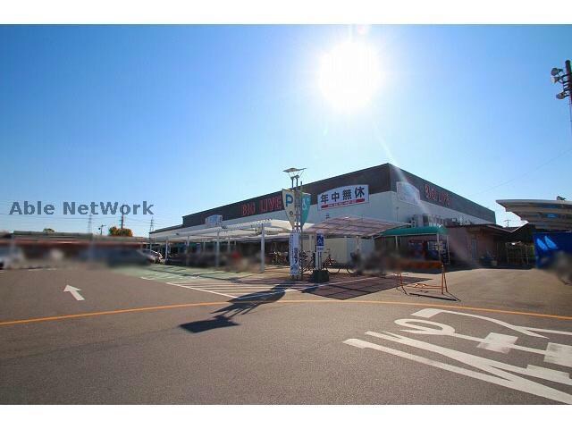 BIGLIVE小牧店(スーパー)まで479m ファミハイツ