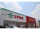 スギ薬局堀の内店(ドラッグストア)まで1356m プリミエール丹羽