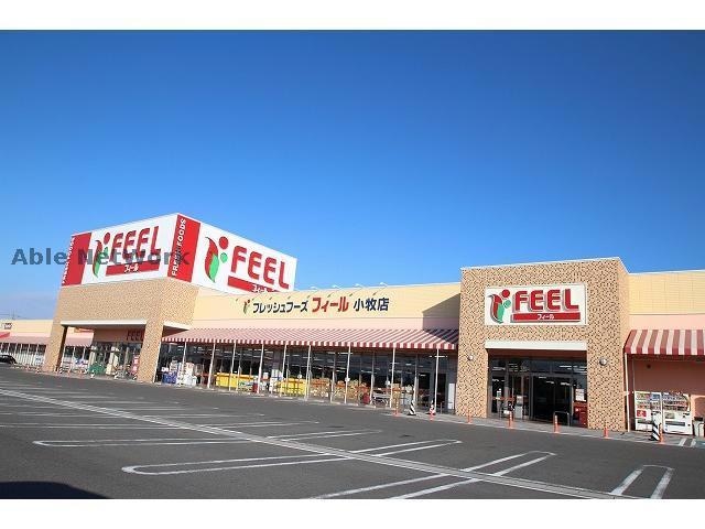 フィール小牧店(スーパー)まで1293m カーザステラ