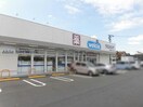 ウエルシア小牧久保一色店(ドラッグストア)まで802m サープラスワン今枝