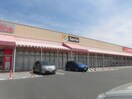 Seriaフィール小牧店(ディスカウントショップ)まで493m コンフォート
