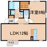 パイン 1LDKの間取り