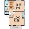 カレーラ 1LDKの間取り