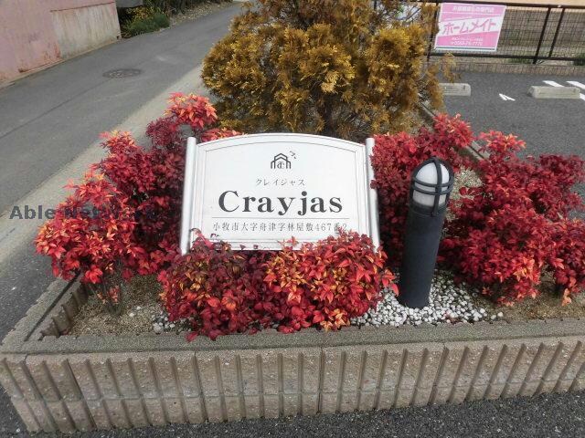  クレイジャス