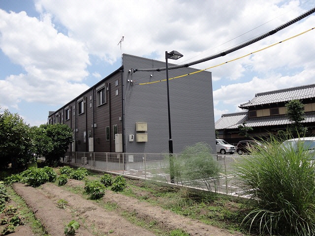  グラン・ドゥ・ソレイユ向日葵