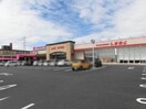 ファッションセンターしまむら久保一色店(ショッピングセンター/アウトレットモール)まで281m レジデンス芽