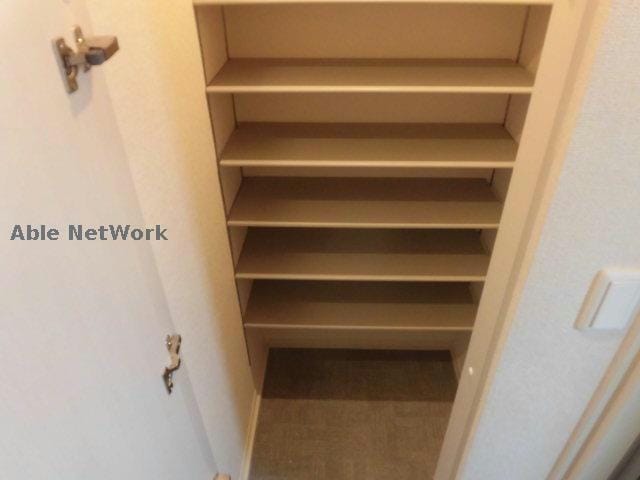 ※参考画像 ティアラ・T