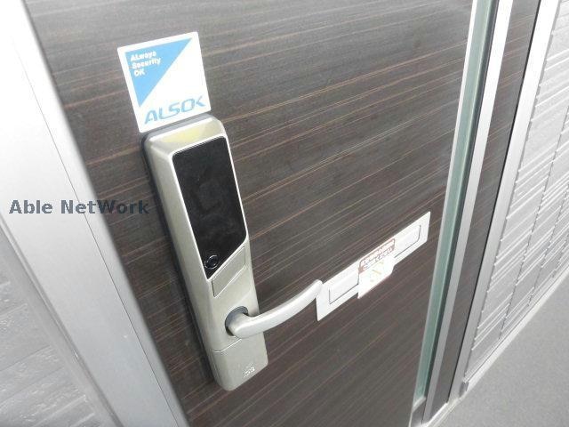 ※参考画像 ティアラ・T