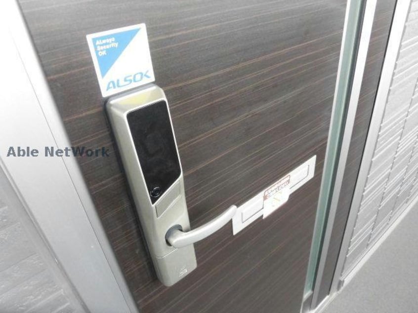 ※参考画像 ティアラ・T