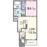 ストラータB 1LDKの間取り
